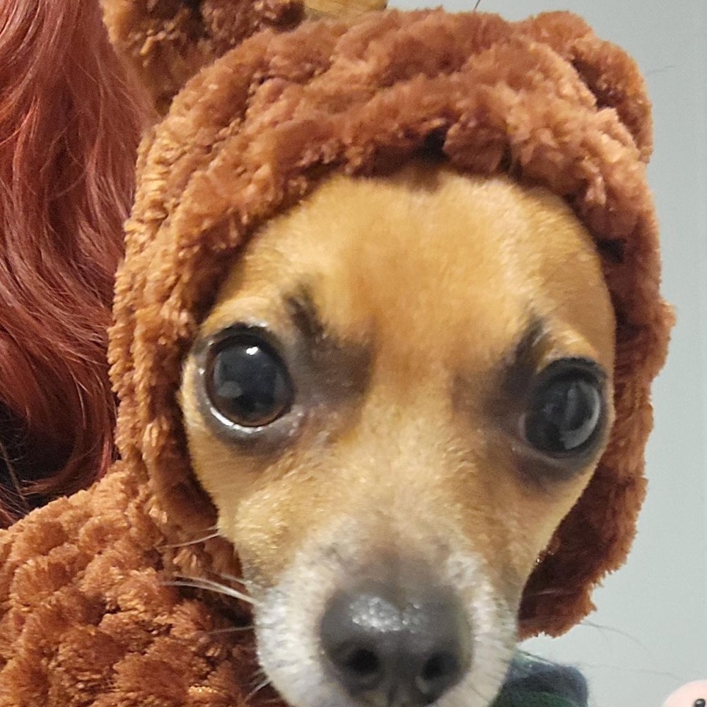 EVERYTHING MUST GO!!!